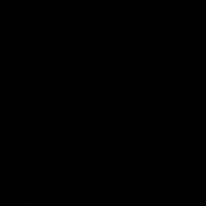 Meet your Posher, Genesis